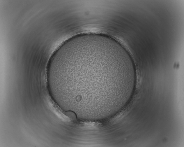 X0000112000439200908171423