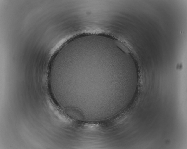 X0000112000440200908171423