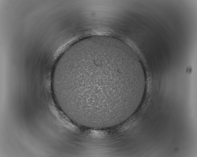 X0000112000442200908171423