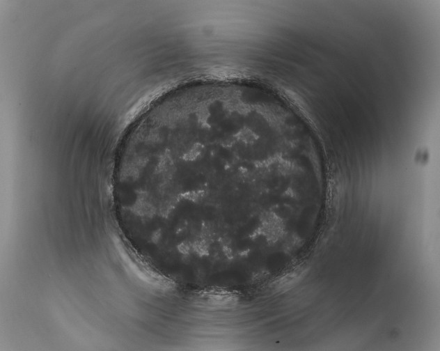 X0000112000443200908171423