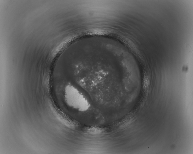 X0000112000444200908171423