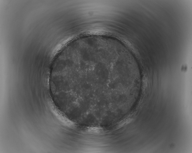 X0000112000446200908171423