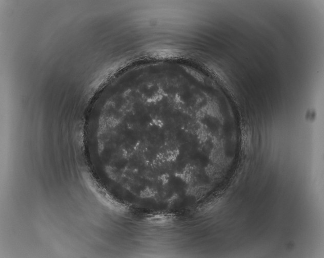 X0000112000447200908171423