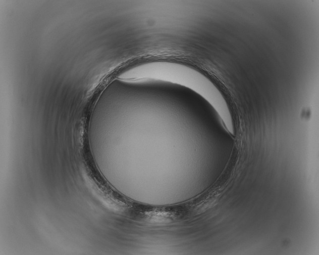 X0000112000448200908171423