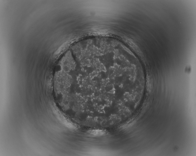 X0000112000449200908171423