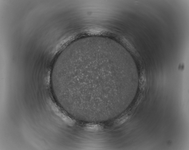 X0000112000454200908171423