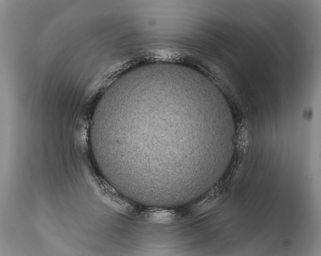 X0000112000456200908171423