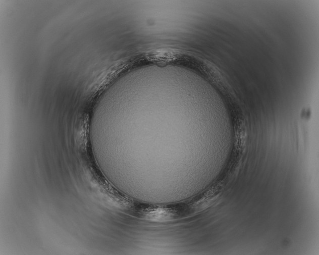 X0000112000460200908171423