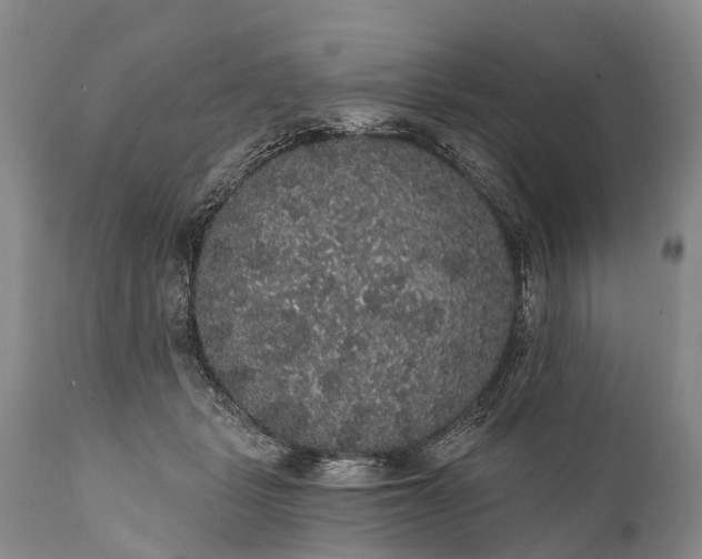 X0000112000461200908171423