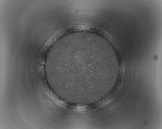 X0000112000462200908171423