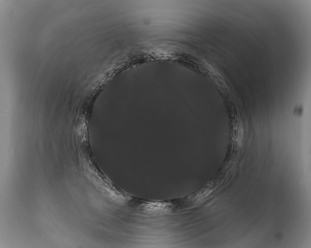 X0000112000465200908171424