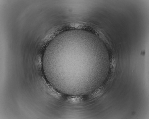 X0000112000466200908171424