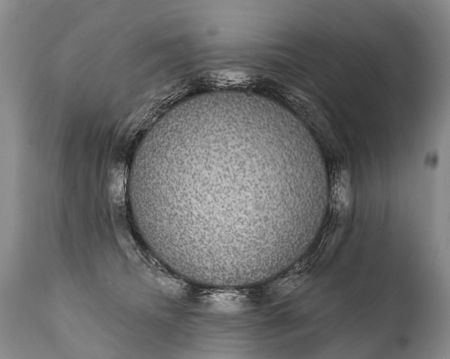 X0000112000468200908171424