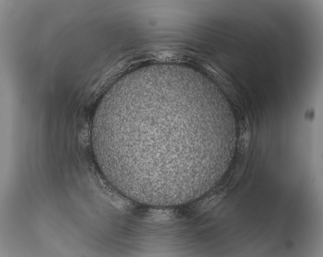 X0000112000469200908171424