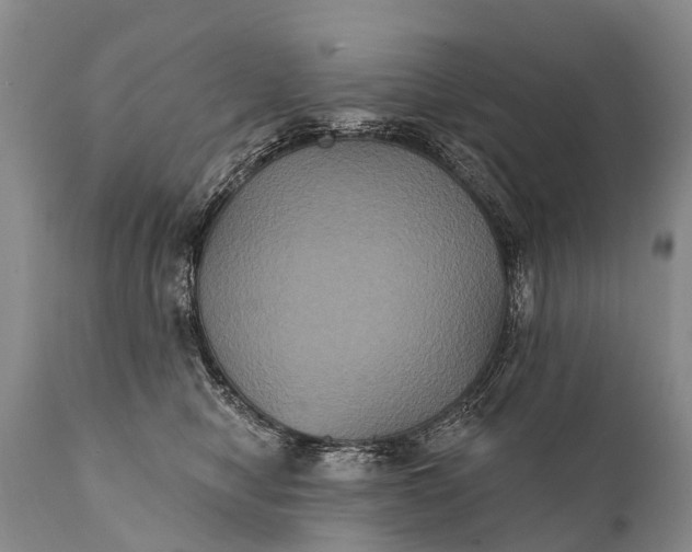 X0000112000470200908171424