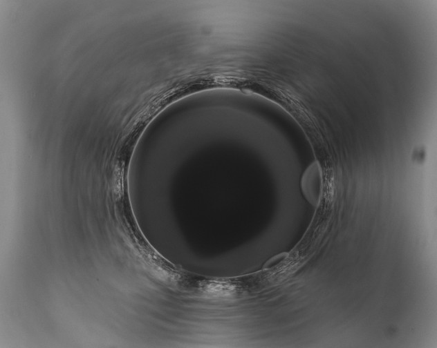 X0000112000471200908171424