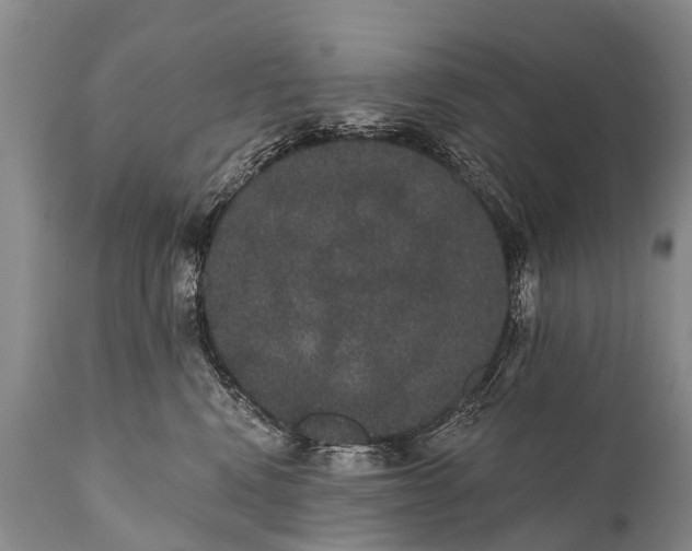 X0000112000472200908171424