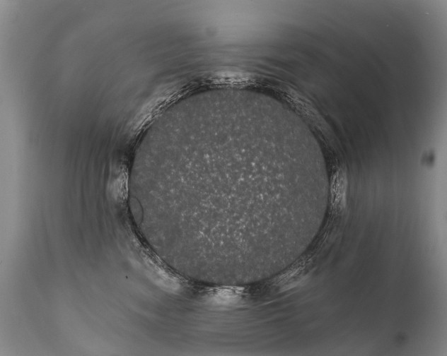 X0000112000474200908171424