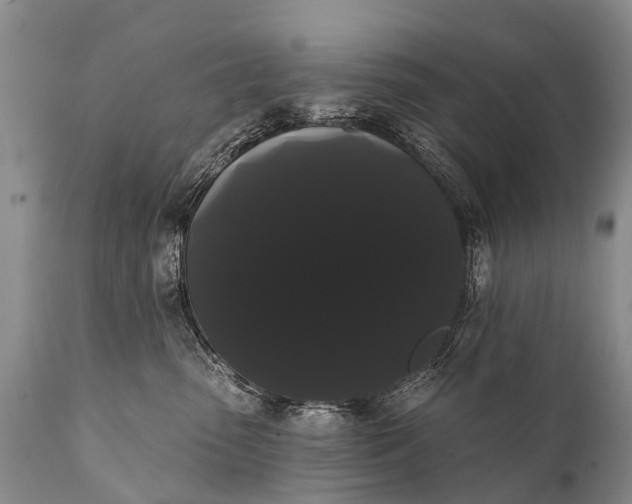 X0000112000475200908171424