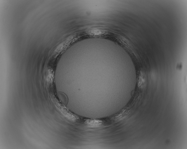 X0000112000476200908171424