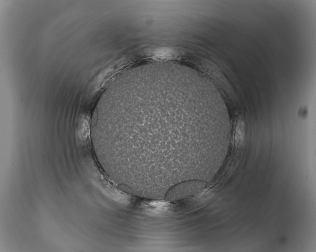 X0000112000478200908171424