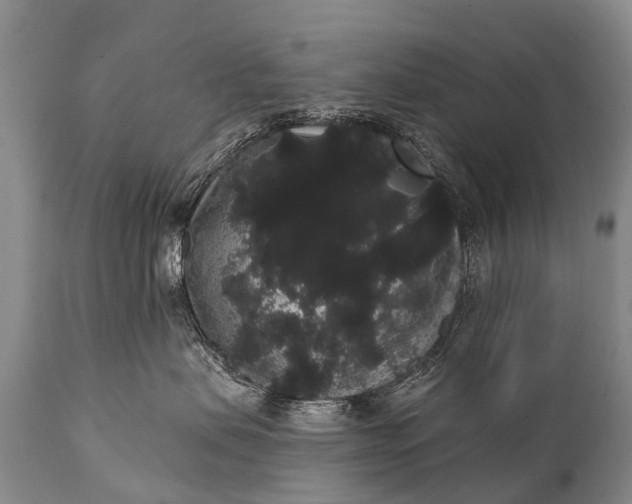 X0000112000479200908171424