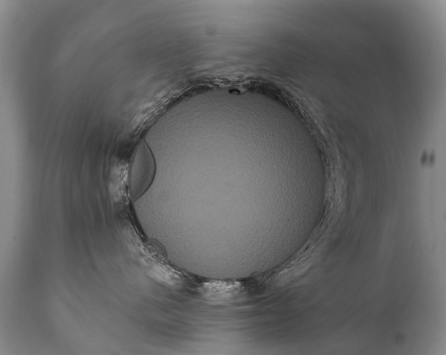 X0000112000480200908171424