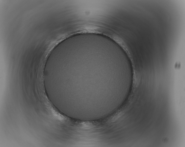 X0000112000481200908171423