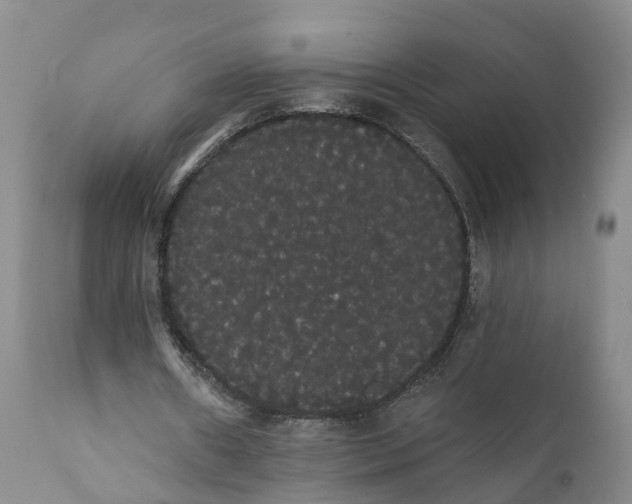 X0000112000482200908171423