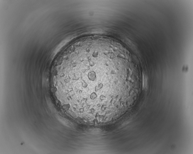 X0000112000483200908171423