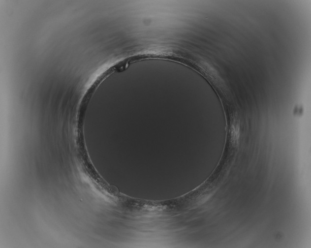 X0000112000484200908171423