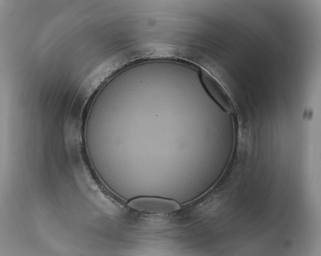 X0000112000485200908171423