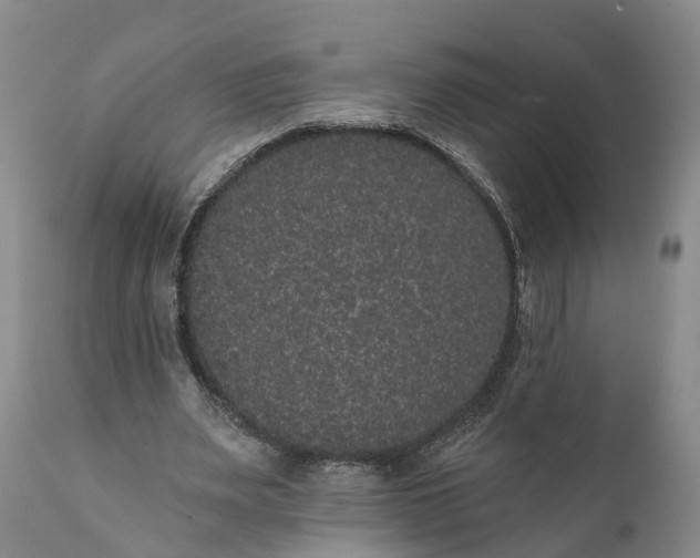 X0000112000487200908171423