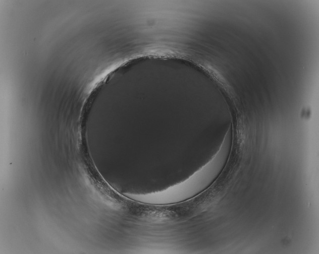 X0000112000488200908171423