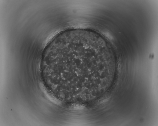 X0000112000491200908171423