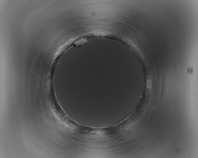 X0000112000492200908171423