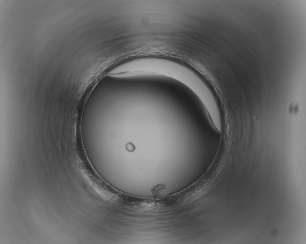 X0000112000493200908171423