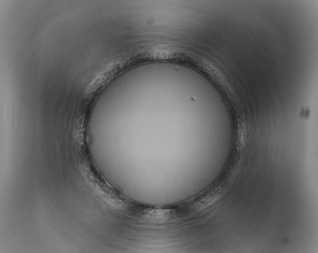 X0000112000497200908171423