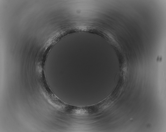 X0000112000500200908171423