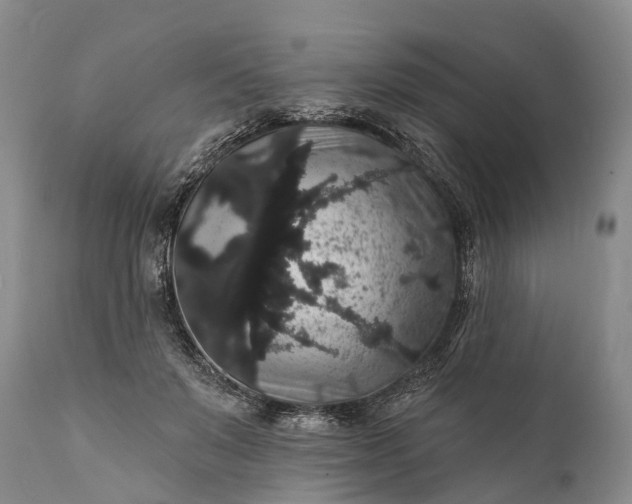 X0000112000503200908171423