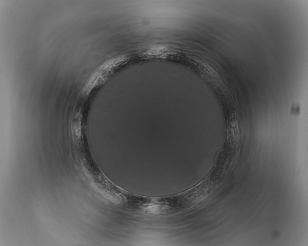 X0000112000504200908171423