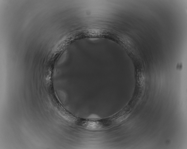 X0000112000507200908171423