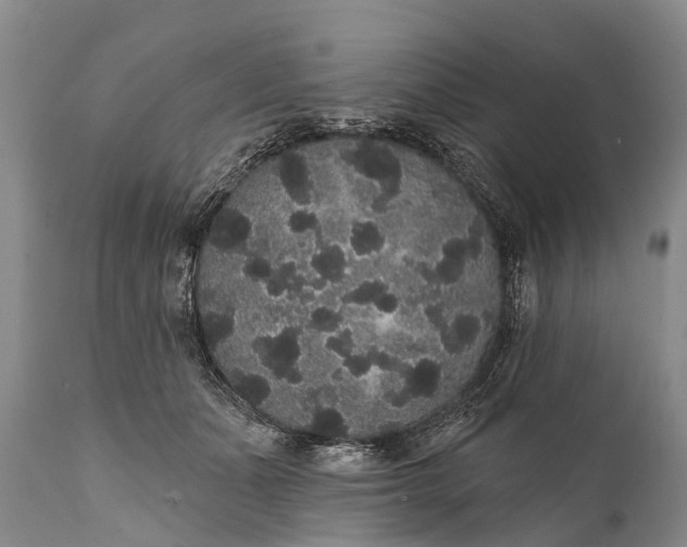 X0000112000511200908171423