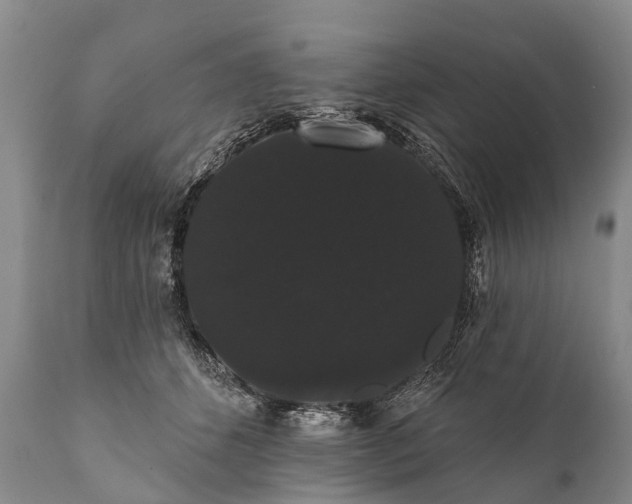 X0000112000512200908171423