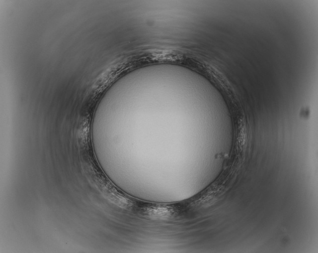 X0000112000513200908171423