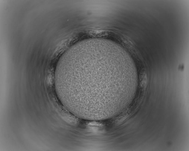 X0000112000515200908171423