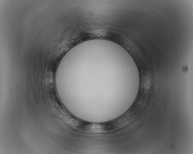 X0000112000518200908171423