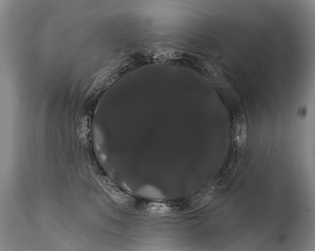 X0000112000519200908171423