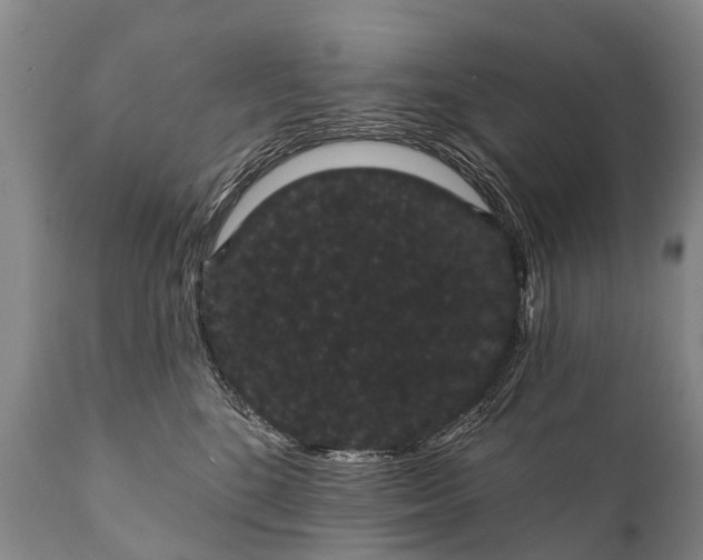 X0000112000520200908171423