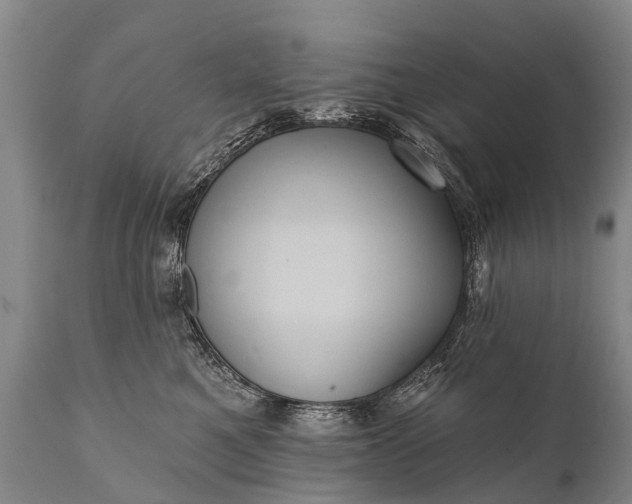 X0000112000521200908171423